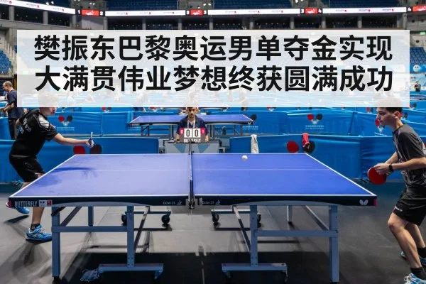 樊振东巴黎奥运男单夺金实现大满贯伟业梦想终获圆满成功